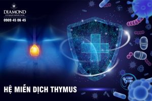 Hệ miễn dịch thymus