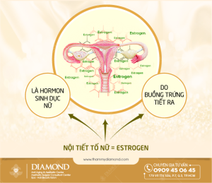 Mô phỏng nội tiết tố nữ