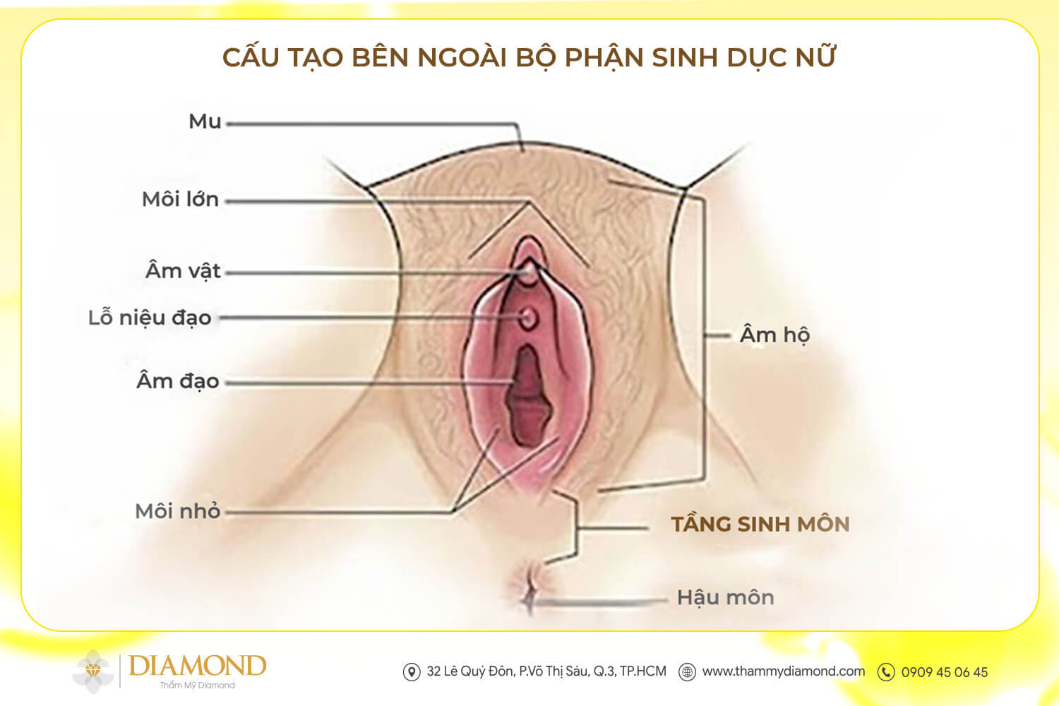 Cấu tạo bên ngoài bộ phận sinh dục nữ