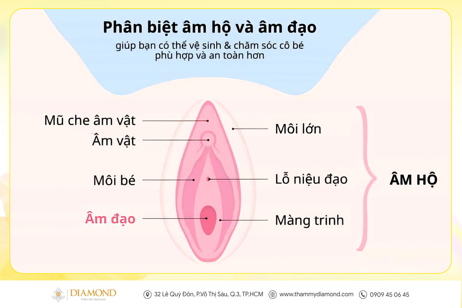 Phân biệt âm hộ và âm đạo