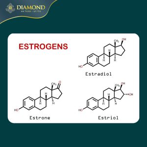 Phân loại estrogen